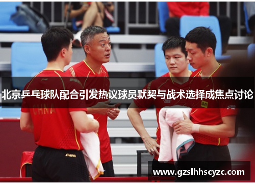 北京乒乓球队配合引发热议球员默契与战术选择成焦点讨论