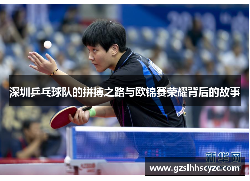 深圳乒乓球队的拼搏之路与欧锦赛荣耀背后的故事