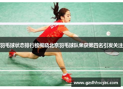 羽毛球状态排行榜揭晓北京羽毛球队荣获第四名引发关注