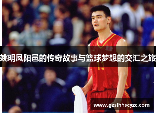 姚明凤阳邑的传奇故事与篮球梦想的交汇之旅