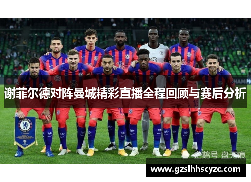 谢菲尔德对阵曼城精彩直播全程回顾与赛后分析